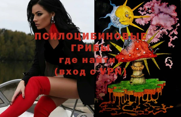 МДПВ Абаза