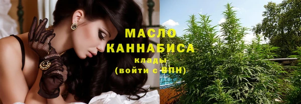 МДПВ Абаза