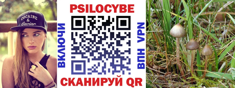 купить наркотики сайты  Туран  Галлюциногенные грибы ЛСД 